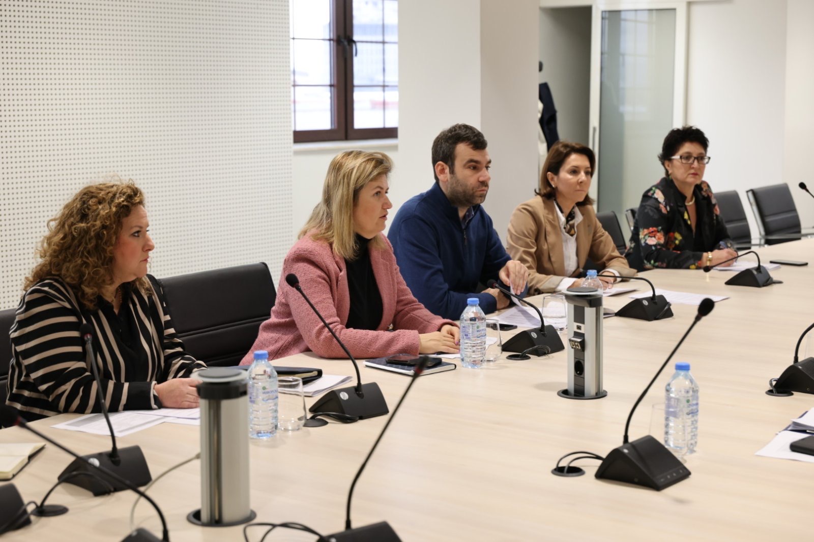 Task force – Interinstitutional Working Group for Efficient Realization of Energy Projects 