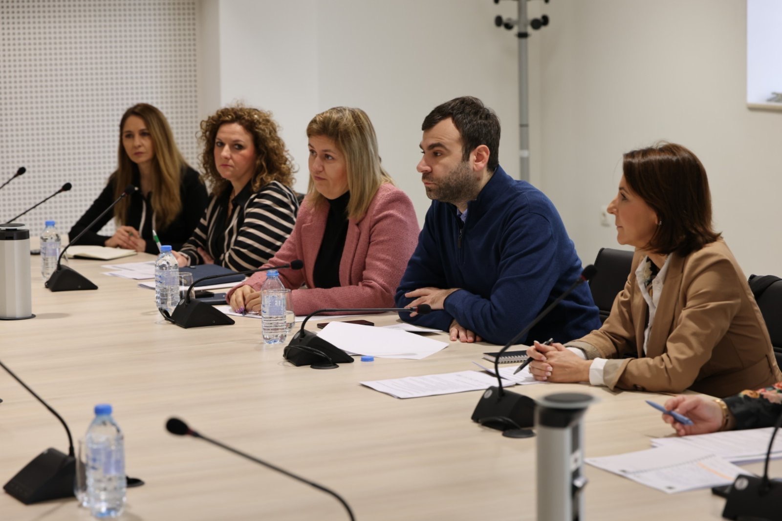 Task force – Interinstitutional Working Group for Efficient Realization of Energy Projects 